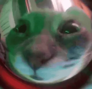 👎 0a40a18f telegram sticker