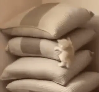 😶 130d4c01 小猫, 猫, 枕头, 攀爬, 可爱, 动物 telegram sticker