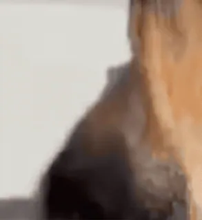 😳 13400a57 telegram sticker