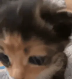 😳 2253fad7 telegram sticker