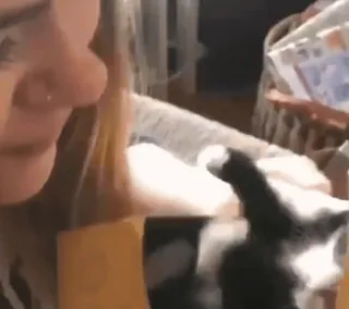 🥰 417a2ad0 telegram sticker