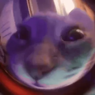 ✅ 8b183cbc telegram sticker