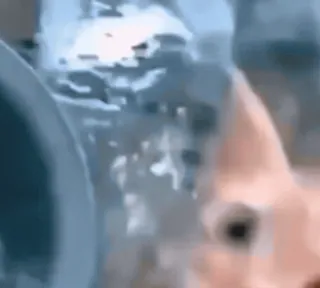 😳 979875be telegram sticker