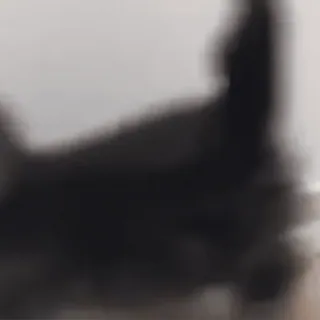 😕 9f131d4d telegram sticker