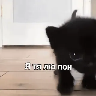 🥰 b306aa32 Я тя лю пон 狗, 小狗, 动物, 可爱 telegram sticker