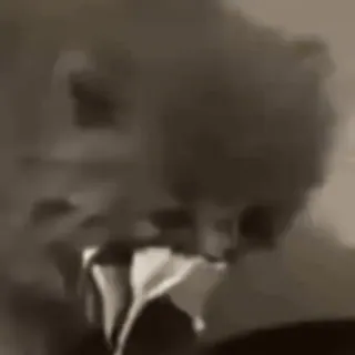 😳 cd15570f telegram sticker