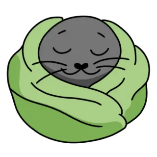 🤒 c0aa5c88 anjing laut, binatang, lucu, kartun, tidur, selimut, terbungkus, nyaman whatsapp sticker