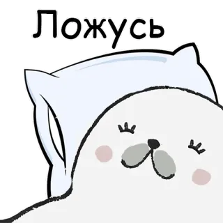 😴 29a69fbc Ложусь นอน, เวลาเข้านอน, ราตรีสวัสดิ์, น่ารัก, สัตว์, แมวน้ำ, หมอน, พักผ่อน, ผ่อนคลาย telegram sticker