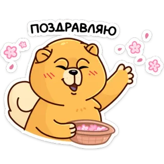 🥳 74746830 ПОЗДРАВЛЯЮ gấu, chúc mừng, kawaii, nhãn dán, dễ thương, động vật telegram sticker