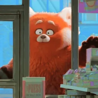 😍 10745dd7 PRESS 판다, 창문, 언론, 표지판, 레서판다 telegram sticker