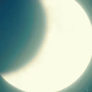 Turning Red (@ganstfeveral) whatsapp stickers