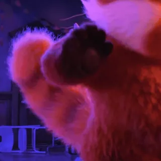 😙 ea0fd5d8 레서 판다, 가운데 손가락, 불쾌한, 제스처, 유머 telegram sticker