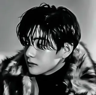 🖇 c851df20 V kpop, bts, idol, ca sĩ, hàn quốc, âm nhạc telegram sticker