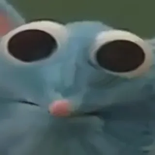 😳 cfbcdf38 telegram sticker