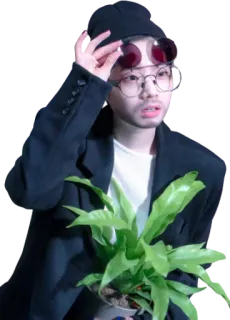 🤓 713ed44e persona, gafas de sol, planta, interior, estilo, retrato whatsapp sticker