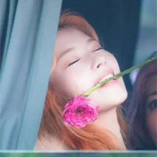 ☺️ 010080e1 kpop, flor, mulher, sorriso, menina, rosa telegram sticker