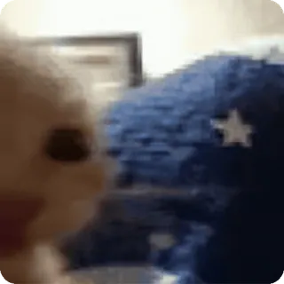 🤨 6cf47da8 whatsapp sticker