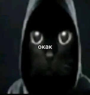 🫥 c400f0a2 окак gatto, felpa con cappuccio, scuro, meme, russo whatsapp sticker