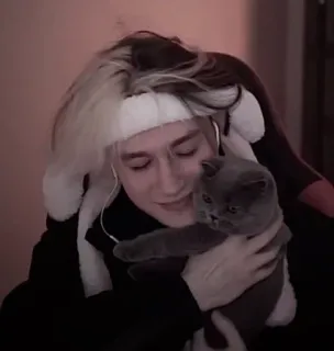 ❤ 6a056d1a persona, gato, mascota, animal, retrato, lindo telegram sticker