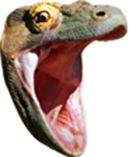 TwitchSmiles whatsapp stickers