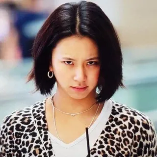 😤 73bd24ec Frau, Porträt, Person, Leopardenmuster, Mode, Stil telegram sticker