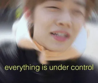 🌸 73820410 everything is under control ミーム, 面白い, ユーモア, 制御, ストレス, 感情的 telegram sticker