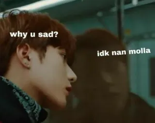 🌸 a0d71292 why u sad? idk nan molla 悲しい, 韓国, ミーム, 知らん telegram sticker