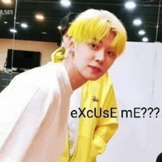 🌸 eea4007a eXcUsE mE??? ミーム, すみません, 面白い, Kpop telegram sticker
