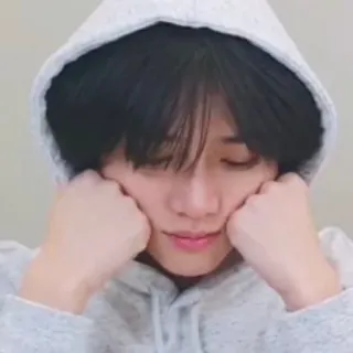 TXT 🐁 telegram stickers