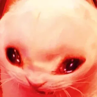 😭 987d7d00 кот, грустный, расстроенный, красный, животное, мем telegram sticker