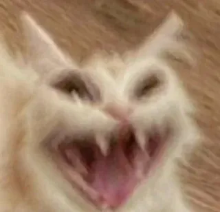 👹 add0ee1a кот, животное, кошачий, питомец, злой, страшный telegram sticker