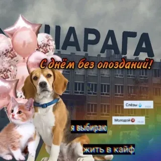 🥱 638eb414 ШАРАГА
С днём без опозданий!
Я выбираю
Жить в кайф собака, кошка, привет, шары, текст на русском, коллаж telegram sticker