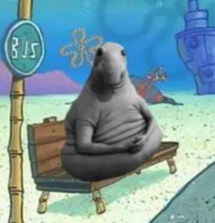 •HL• telegram stickers