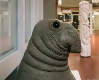 •HL• telegram stickers