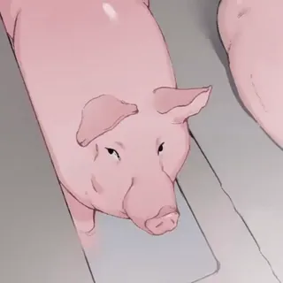 🐖 2a0d1d7a cerdo, animal, ganado, animal de granja, rosa, ilustración telegram sticker