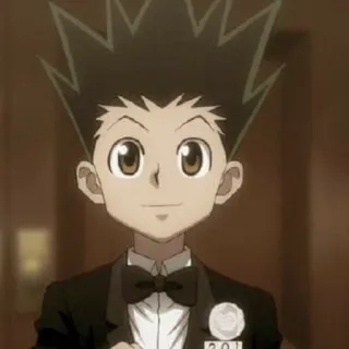 🍺 a332bf9d Gon Freecss Hunter x Hunter anime, manga, cartoon, boy, character, formal, hunter x hunter telegram sticker