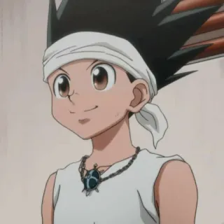 🍺 b06a18d6 Gon Freecss Hunter x Hunter anime, manga, gon freecss, hunter x hunter, shonen telegram sticker