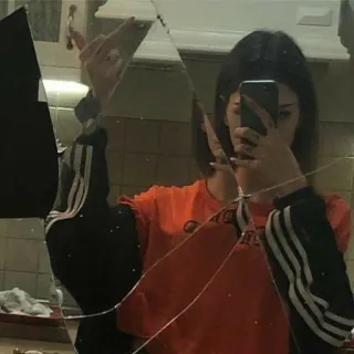 🔨 e66911f7 Mädchen, Spiegel, Selfie, Stinkefinger, Beleidigend, Teenager telegram sticker