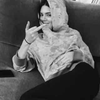 🥂 66442d8d Frau, Stinkefinger, Hoodie, Couch, Schwarzweiß, Geste telegram sticker