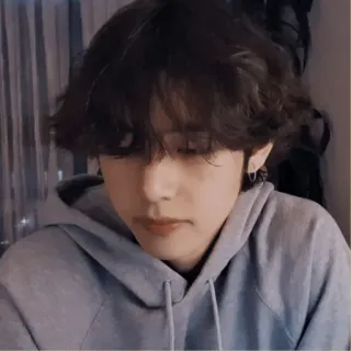 🐚 19ad5828 person, korean, male, man, hoodie telegram sticker