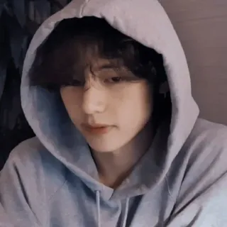 🐚 2d46cfec telegram sticker