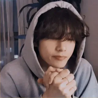 🐚 35eec84f telegram sticker