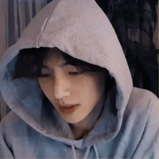 🐚 4235d045 telegram sticker