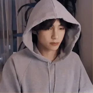 🐚 541756cd telegram sticker