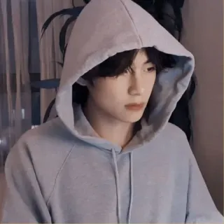 🐚 556dc333 telegram sticker