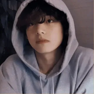 🐚 79d210ce telegram sticker