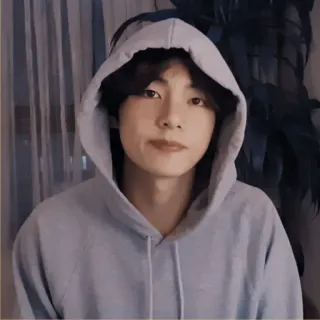 🐚 7fe30cc6 portrait, man, hoodie, casual, korean, singer, celebrity, person telegram sticker