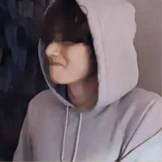 🐚 82e58919 telegram sticker