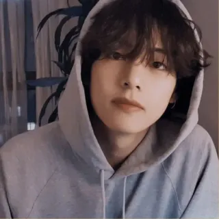 🐚 8f23271c person, portrait, man, hoodie, casual, indoor telegram sticker