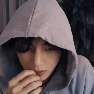 🐚 a7cbcf9d telegram sticker